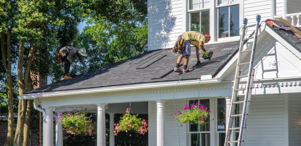 Roof Gutter Cleaning in West Alexandria, OH
