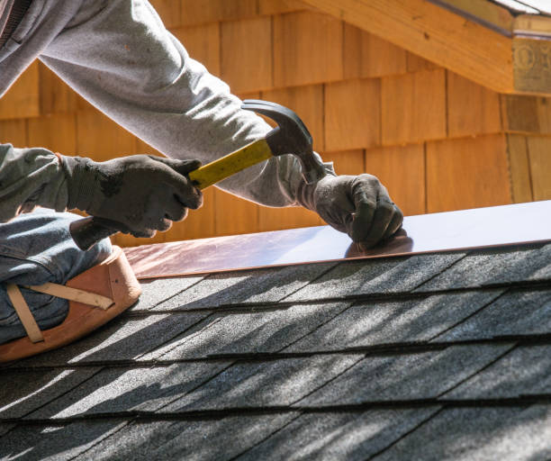 Best Roof Gutter Cleaning  in West Alexandria, OH